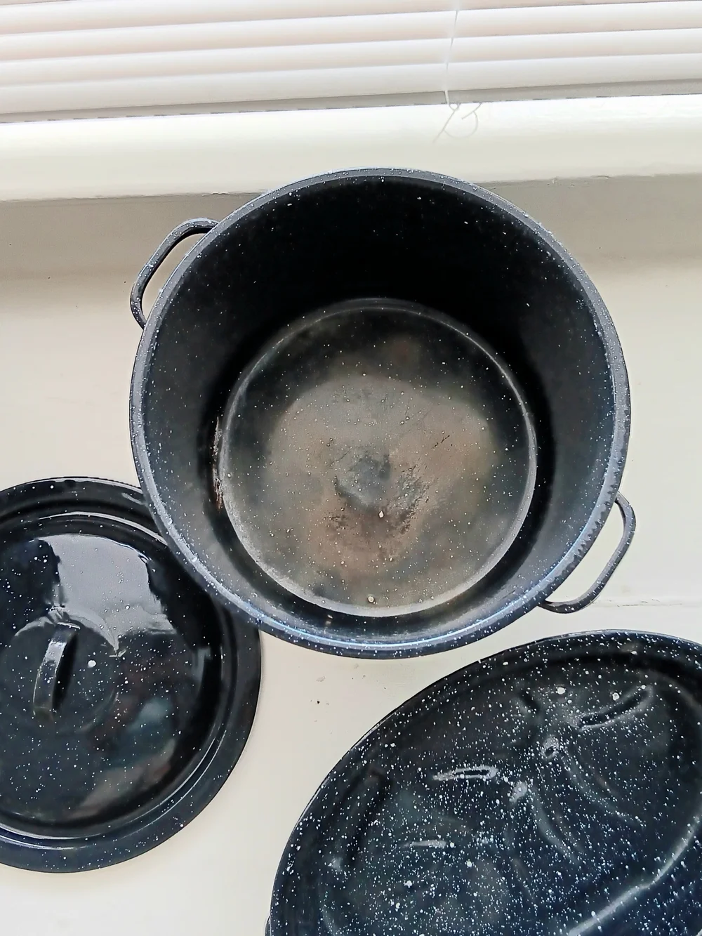 Enamel Speckled Black Stockpot and Roasting Pan Set - Black